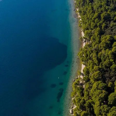 Vladimir בית הארחה 3*