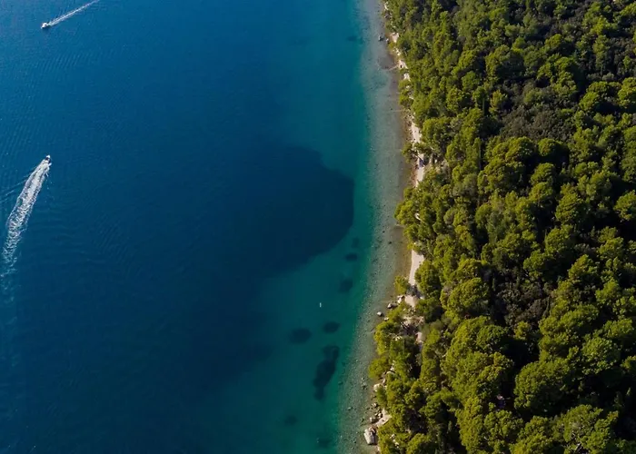 Vladimir Gostinjska kuća 3*